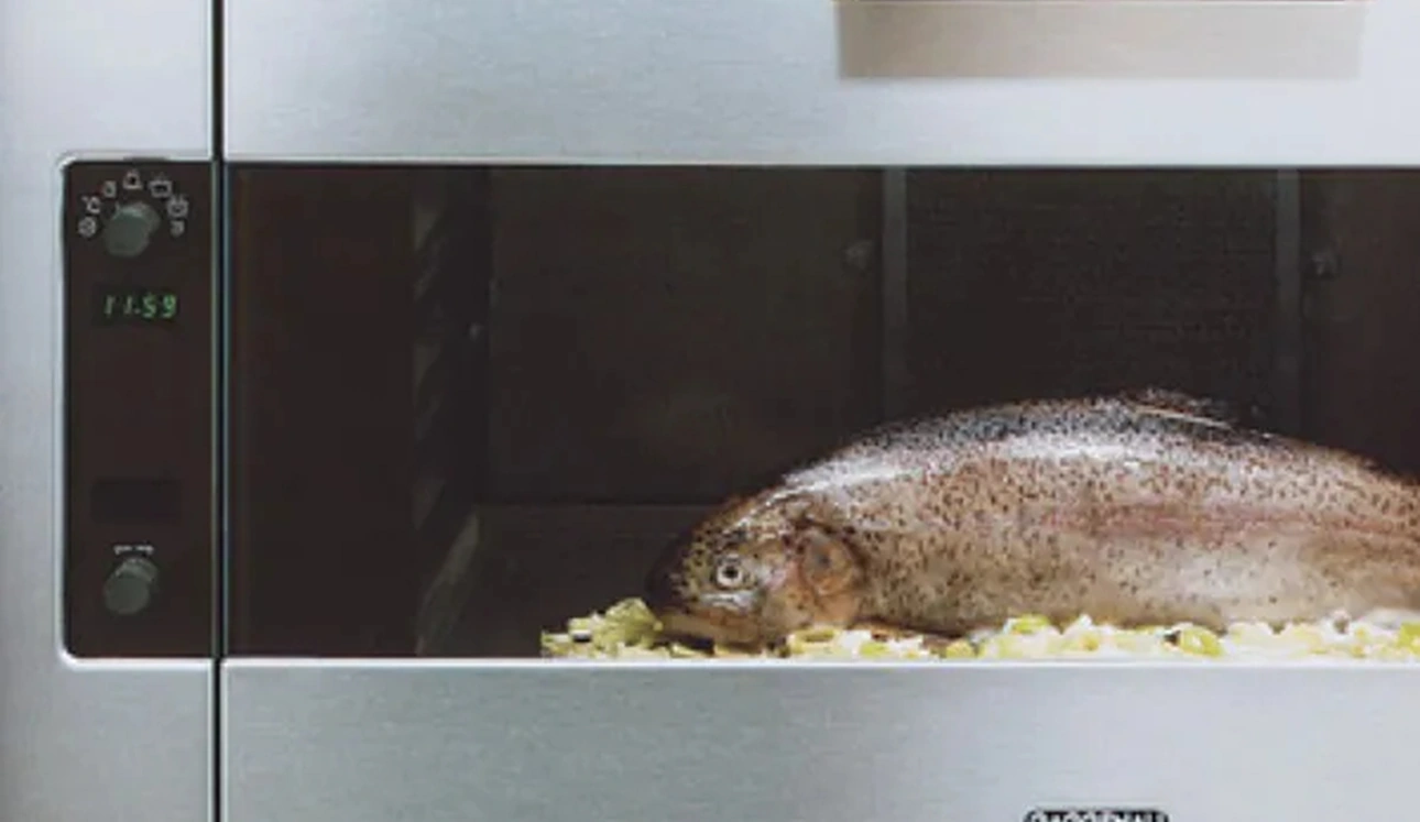 Forno EB 374 di Gaggenau